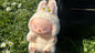 Pop mart Labubu Macaron Plushie Blind Box